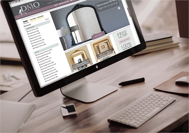 Website Design for DMO